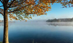 Ein ruhiger See spiegelt den blauen Himmel und die herbstlichen Farben der Bäume wider. Ein einzelner Baum mit bunten Blättern steht am Ufer, während Nebel über dem Wasser schwebt. (Text KI generiert)