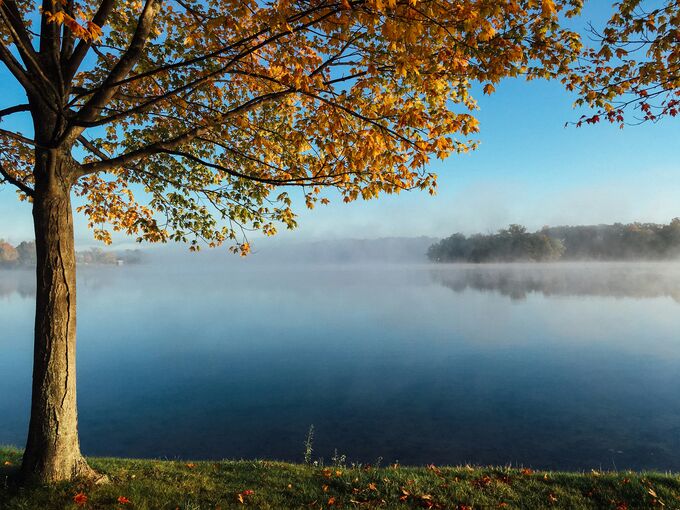 Ein ruhiger See spiegelt den blauen Himmel und die herbstlichen Farben der Bäume wider. Ein einzelner Baum mit bunten Blättern steht am Ufer, während Nebel über dem Wasser schwebt. (Text KI generiert)