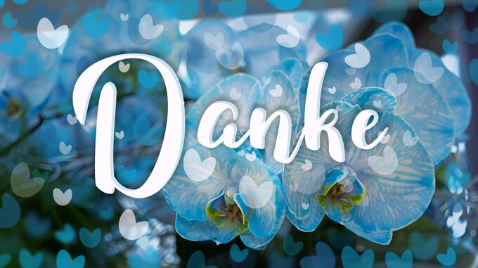 Ein blauer Hintergrund mit verschwommenen Herzchen und einer großen, geschwungenen Schrift, die das Wort "Danke" zeigt. Im Vordergrund sind helle Orchideenblüten zu sehen, die dem Bild eine freundliche und dankbare Atmosphäre verleihen. (Text KI generiert)